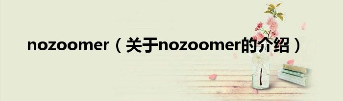 nozoomer（關(guān)于nozoomer的介紹）