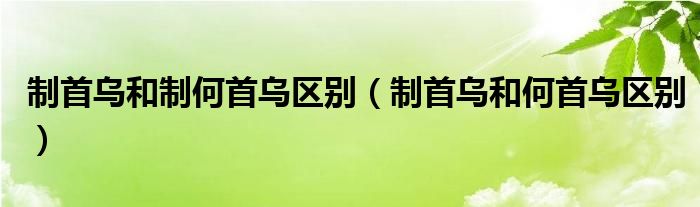 制首烏和制何首烏區(qū)別（制首烏和何首烏區(qū)別）