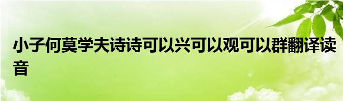 小子何莫學(xué)夫詩(shī)詩(shī)可以興可以觀可以群翻譯讀音