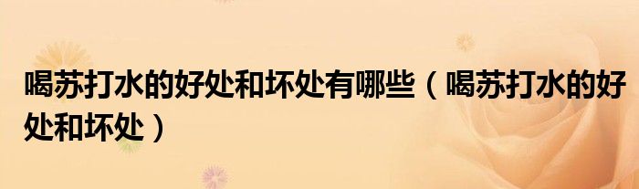 喝蘇打水的好處和壞處有哪些（喝蘇打水的好處和壞處）