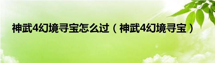 神武4幻境尋寶怎么過（神武4幻境尋寶）