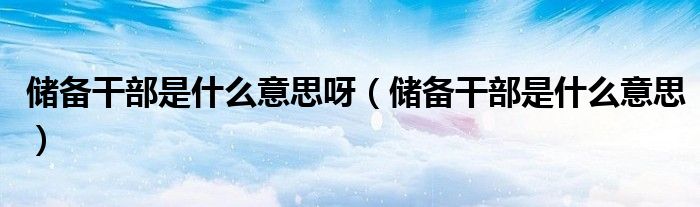 儲備干部是什么意思呀（儲備干部是什么意思）