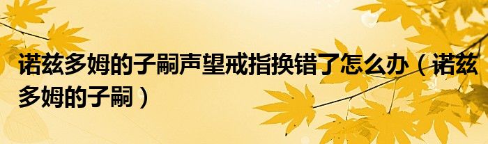 諾茲多姆的子嗣聲望戒指換錯了怎么辦（諾茲多姆的子嗣）