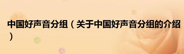 中國(guó)好聲音分組（關(guān)于中國(guó)好聲音分組的介紹）