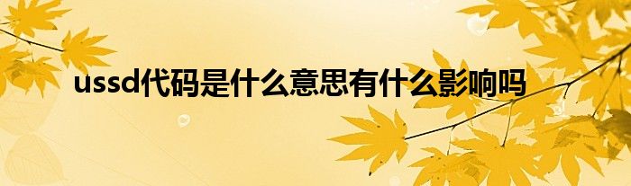 ussd代碼是什么意思有什么影響嗎