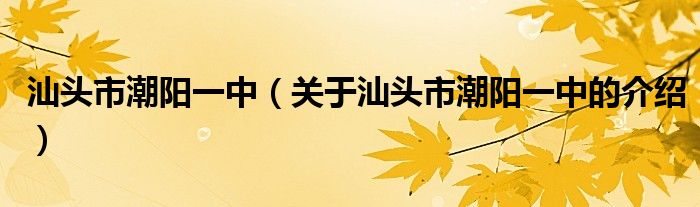 汕頭市潮陽一中（關(guān)于汕頭市潮陽一中的介紹）