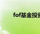 fof基金投資比例的規(guī)定（fof基金）