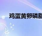 雞蛋黃卵磷脂的功效與作用及食用方法