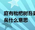 庭有枇杷樹吾妻死之年所手植也今已亭亭如蓋矣什么意思