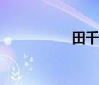 田千秋簡介（田千秋）
