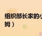 組織部長(zhǎng)家的小保姆是誰(shuí)（組織部長(zhǎng)家的小保姆）