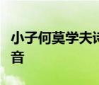小子何莫學(xué)夫詩(shī)詩(shī)可以興可以觀可以群翻譯讀音
