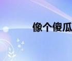 像個(gè)傻瓜歌詞（那個(gè)傻瓜歌詞）