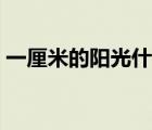 一厘米的陽光什么意思（一米陽光什么意思）