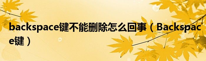 backspace鍵不能刪除怎么回事（Backspace鍵）