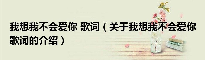 我想我不會(huì)愛你 歌詞（關(guān)于我想我不會(huì)愛你 歌詞的介紹）