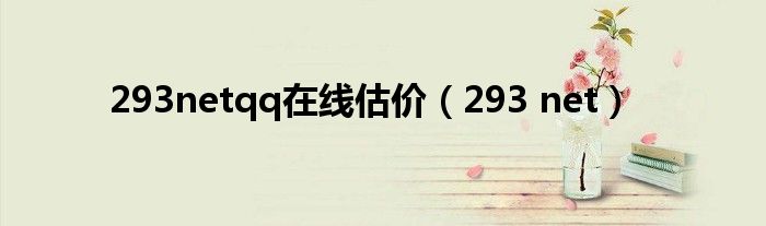 293netqq在線估價（293 net）
