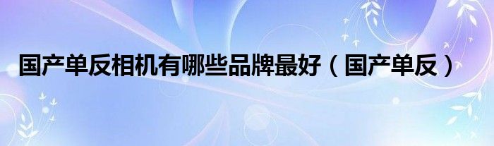 國產(chǎn)單反相機有哪些品牌最好（國產(chǎn)單反）