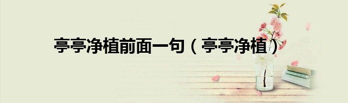 亭亭凈植前面一句（亭亭凈植）