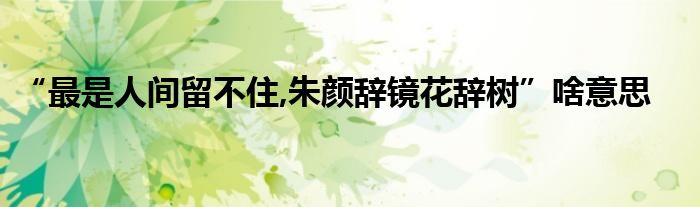 “最是人間留不住,朱顏辭鏡花辭樹”啥意思