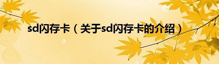 sd閃存卡（關(guān)于sd閃存卡的介紹）