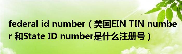 federal id number（美國(guó)EIN TIN number 和State ID number是什么注冊(cè)號(hào)）