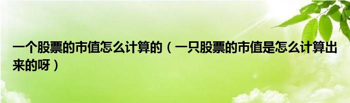 一個(gè)股票的市值怎么計(jì)算的（一只股票的市值是怎么計(jì)算出來(lái)的呀）