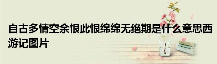 自古多情空余恨此恨綿綿無(wú)絕期是什么意思西游記圖片