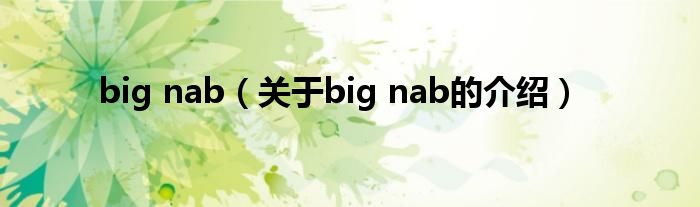 big nab（關(guān)于big nab的介紹）