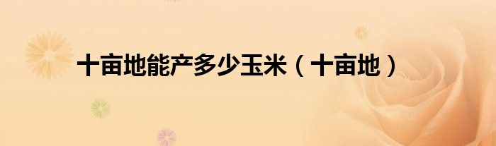 十畝地能產(chǎn)多少玉米（十畝地）