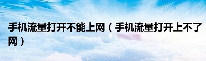手機(jī)流量打開不能上網(wǎng)（手機(jī)流量打開上不了網(wǎng)）