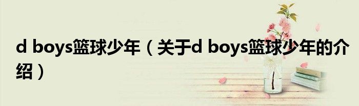 d boys籃球少年（關(guān)于d boys籃球少年的介紹）