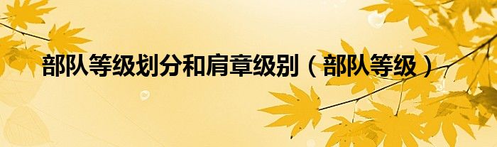 部隊(duì)等級(jí)劃分和肩章級(jí)別（部隊(duì)等級(jí)）