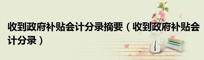 收到政府補(bǔ)貼會(huì)計(jì)分錄摘要（收到政府補(bǔ)貼會(huì)計(jì)分錄）