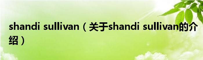 shandi sullivan（關(guān)于shandi sullivan的介紹）