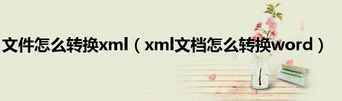 文件怎么轉(zhuǎn)換xml（xml文檔怎么轉(zhuǎn)換word）