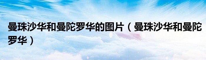 曼珠沙華和曼陀羅華的圖片（曼珠沙華和曼陀羅華）