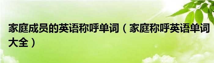 家庭成員的英語(yǔ)稱呼單詞（家庭稱呼英語(yǔ)單詞大全）