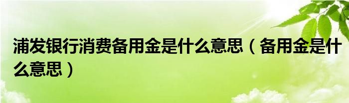 浦發(fā)銀行消費備用金是什么意思（備用金是什么意思）