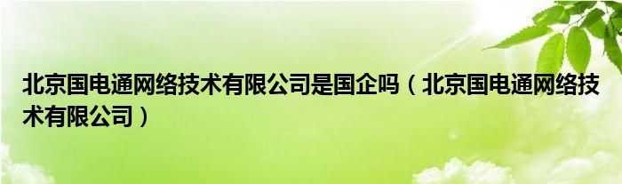 北京國電通網(wǎng)絡(luò)技術(shù)有限公司是國企嗎（北京國電通網(wǎng)絡(luò)技術(shù)有限公司）