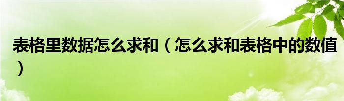 表格里數(shù)據(jù)怎么求和（怎么求和表格中的數(shù)值）