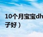 10個(gè)月寶寶dha什么牌子好（寶寶dha什么牌子好）