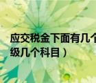 應(yīng)交稅金下面有幾個(gè)二級(jí)科目（應(yīng)交稅金科目下要設(shè)置哪二級(jí)幾個(gè)科目）