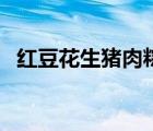 紅豆花生豬肉粽子的做法（肉粽子的做法）