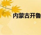 內(nèi)蒙古開魯縣美食（內(nèi)蒙古開魯縣）