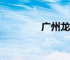 廣州龍洞公司（廣州龍洞）