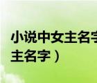小說中女主名字好聽的（有沒有好聽的小說女主名字）