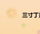 三寸丁是多少cm（三寸?。?/>
                                    </a>
                                                </div>
                                    <div   id=