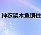 神農(nóng)架木魚鎮(zhèn)住宿電話（神農(nóng)架木魚鎮(zhèn)住宿）