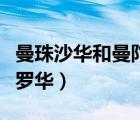 曼珠沙華和曼陀羅華的圖片（曼珠沙華和曼陀羅華）